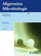 Allgemeine Mikrobiologie - Fuchs, Georg