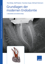 Grundlagen der modernen Endodontie - Tina Rödig, Steffi Baxter, Franziska Haupt, Michael Hülsmann