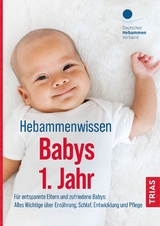 Hebammenwissen Babys 1. Jahr - Jahn-Zöhrens, Ursula; Deutscher Hebammenverband e.V.
