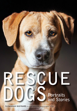 Rescue Dogs -  Susannah Maynard