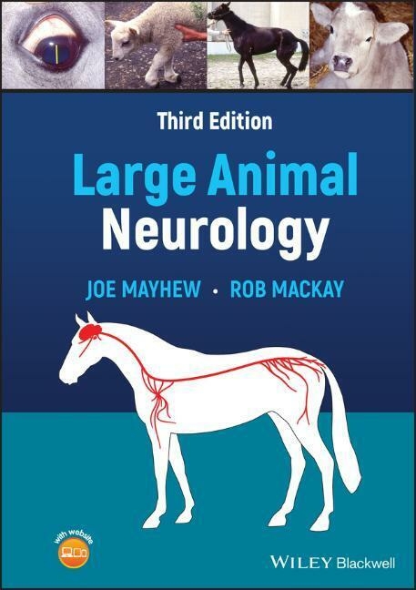Large Animal Neurology - Joe Mayhew, Robert J. Mackay