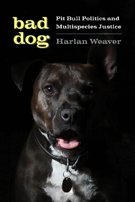 Bad Dog - Harlan Weaver