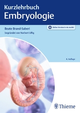 Kurzlehrbuch Embryologie - Beate Brand-Saberi