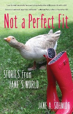 Not a Perfect Fit - Jane A. Schmidt