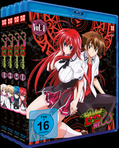 Highschool DxD New - Staffel 2 - Gesamtausgabe - Bundle Vol.1-4 (4 Blu-rays) - Tetsuya Yanagisawa