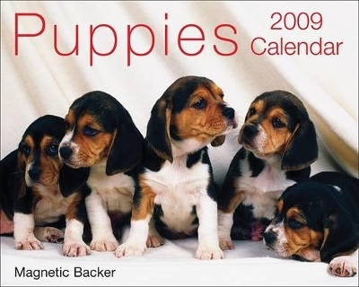 Puppies Calendar - 