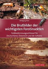 Die Brutbilder der wichtigsten Forstinsekten - Wolfgang Rohe