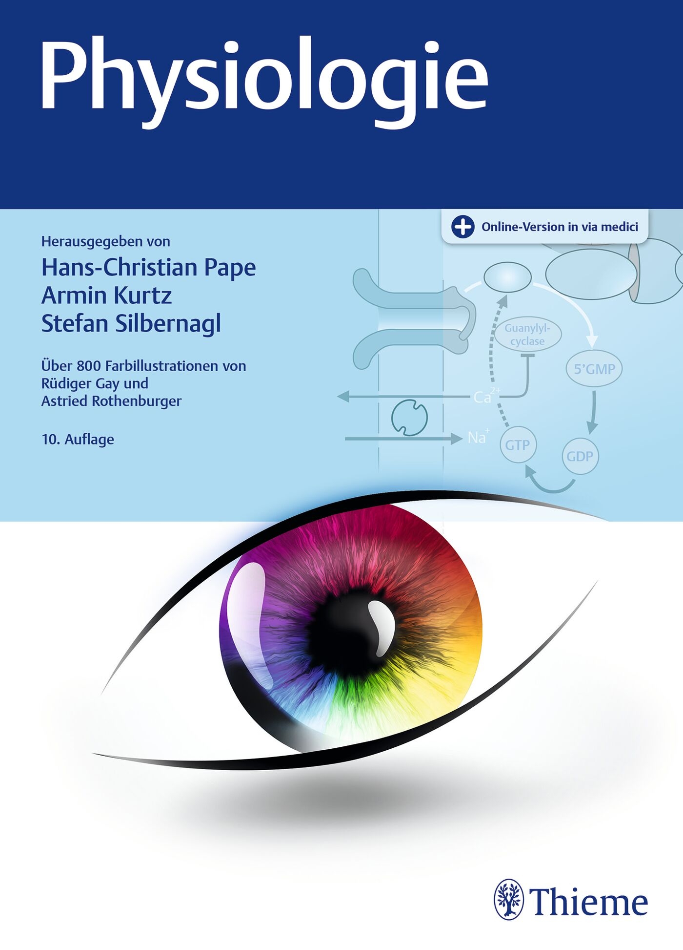 ›Physiologie‹ von Hans-Christian Pape, Armin Kurtz, Stefan Silbernagl