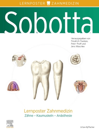 Sobotta Lernposter Zahnmedizin - Friedrich Paulsen; Jens Waschke; Peter Proff