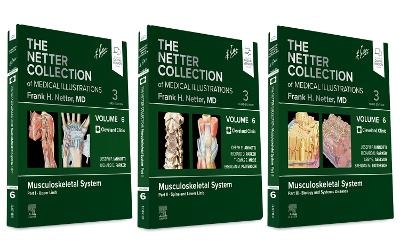 The Netter Collection of Medical Illustrations: Musculoskeletal System Package - 