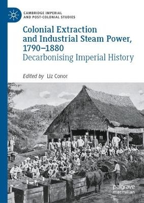 Colonial Extraction and Industrial Steam Power, 1790-1880 - 