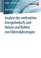 Analyse des weltweiten Energiebedarfs zum Heizen und Kühlen von Elektrofahrzeugen - Malte Westerloh