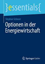 Optionen in der Energiewirtschaft - Stephan Schnorr