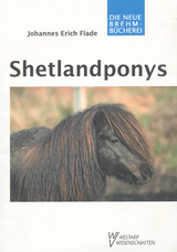 Shetlandponys - Johannes E Flade