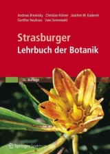 Strasburger - Lehrbuch der Botanik - A. Bresinsky, Christian Körner, Joachim W. Kadereit, Gunther Neuhaus, Uwe Sonnewald