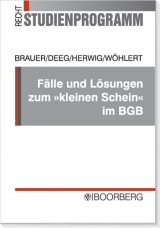 Fälle und Lösungen zum "kleinen Schein" im BGB - Markus Brauer, Peter Deeg, Hanns J Herwig, Helge Th Wöhlert