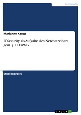 IT-Security als Aufgabe des Netzbetreibers gem. § 11 EnWG - Marianne Karpp