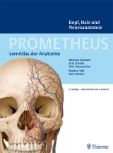 PROMETHEUS Kopf, Hals und Neuroanatomie - Schulte, Erik; Schumacher, Udo; Schünke, Michael