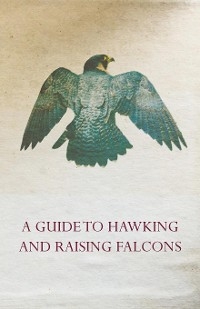 Guide to Hawking and Raising Falcons - With Chapters on the Language of Hawking, Short Winged Hawks and Hunting with the Gyrfalcon -  ANON