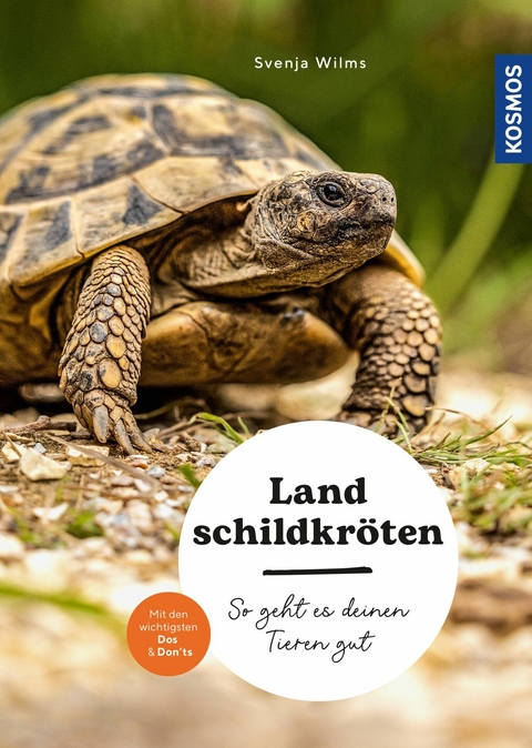 Landschildkröten - Svenja Wilms