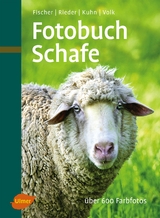 Fotobuch Schafe - Gerhard Fischer, Hugo Rieder, Fridhelm Volk, Regina Kuhn