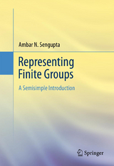 Representing Finite Groups - Ambar N. Sengupta