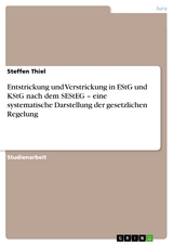 Entstrickung und Verstrickung in EStG und KStG nach dem SEStEG – eine systematische Darstellung der gesetzlichen Regelung - Steffen Thiel