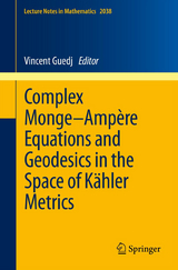 Complex Monge–Ampère Equations and Geodesics in the Space of Kähler Metrics - 
