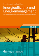 Energieeffizienz und Energiemanagement - Franz Wosnitza, Hans Gerd Hilgers