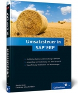 Umsatzsteuer in SAP ERP - Martin Grote, Christiane Schnellenbach