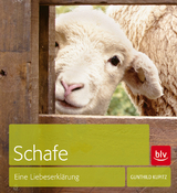 Schafe - Gunthild Kupitz