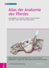Atlas der Anatomie des Pferdes - Budras, Klaus-Dieter; Mülling, Christoph; Pfarrer,  Christiane; Reese, Sven; Kölle, Sabine