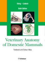 Veterinary Anatomy of Domestic Mammals - 