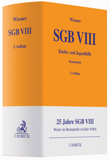 SGB VIII - 