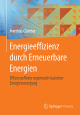 Energieeffizienz durch Erneuerbare Energien - Matthias Günther