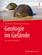 Geologie im Gelände - Tom McCann, Mario Valdivia-Manchego