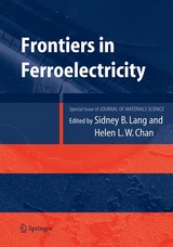 Frontiers of Ferroelectricity -  Helen L.W. Chan,  Sidney B. Lang