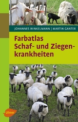 Farbatlas Schaf- und Ziegenkrankheiten - Johannes Winkelmann, Martin Ganter