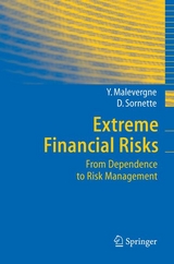 Extreme Financial Risks - Yannick Malevergne, Didier Sornette