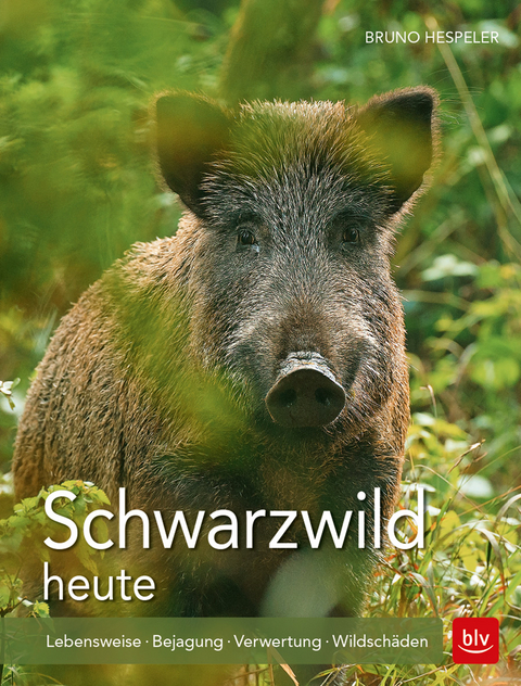 Schwarzwild heute - Bruno Hespeler