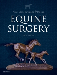 Equine Surgery - Jorg A. Auer; John A. Stick