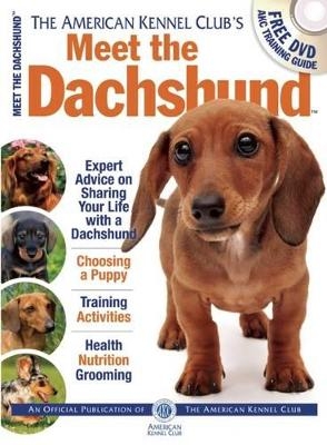 The American Kennel Club's Meet the Dachshund -  American Kennel Club