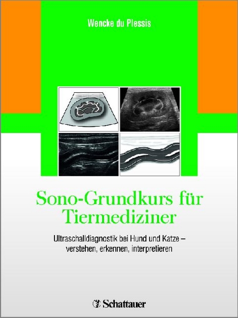 Sono-Grundkurs für Tiermediziner - 