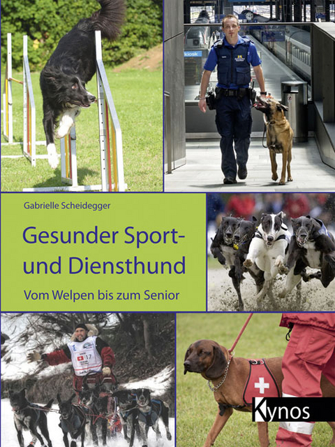 Gesunder Sport- und Diensthund - Gabrielle Scheidegger