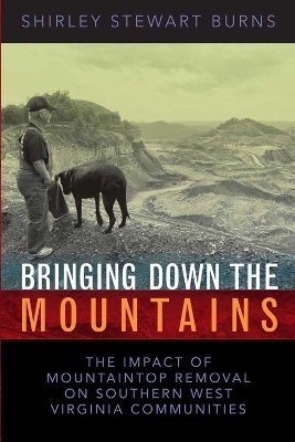 Bringing Down the Mountains - Shirley S. Burns
