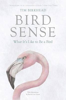 Bird Sense - Tim Birkhead