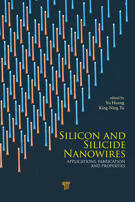 Silicon and Silicide Nanowires - 