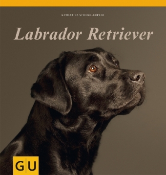 Labrador Retriever - Katharina Schlegl-Kofler