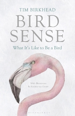 Bird Sense - Tim Birkhead