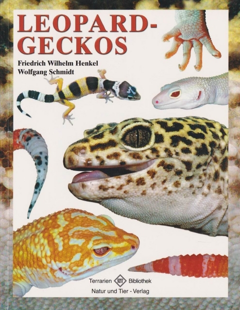Leopardgeckos - Friedrich Wilhelm Henkel, Wolfgang Schmidt